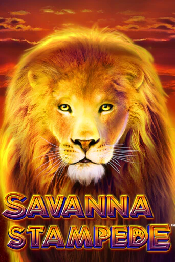 Savanna Stampede от Blueprint Gaming демо версия | VAVADA без регистрации